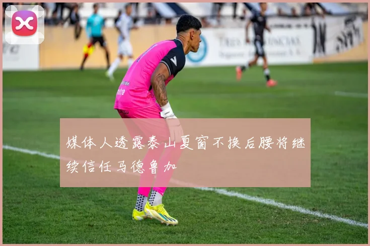 媒体人透露泰山夏窗不换后腰将继续信任马德鲁加